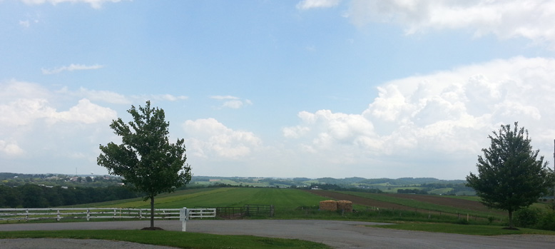 Amish Kitchens by Abode - Ottawa, Ontario